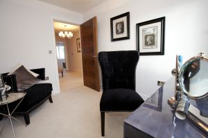 chestnut shadwell 56 sm.jpg
